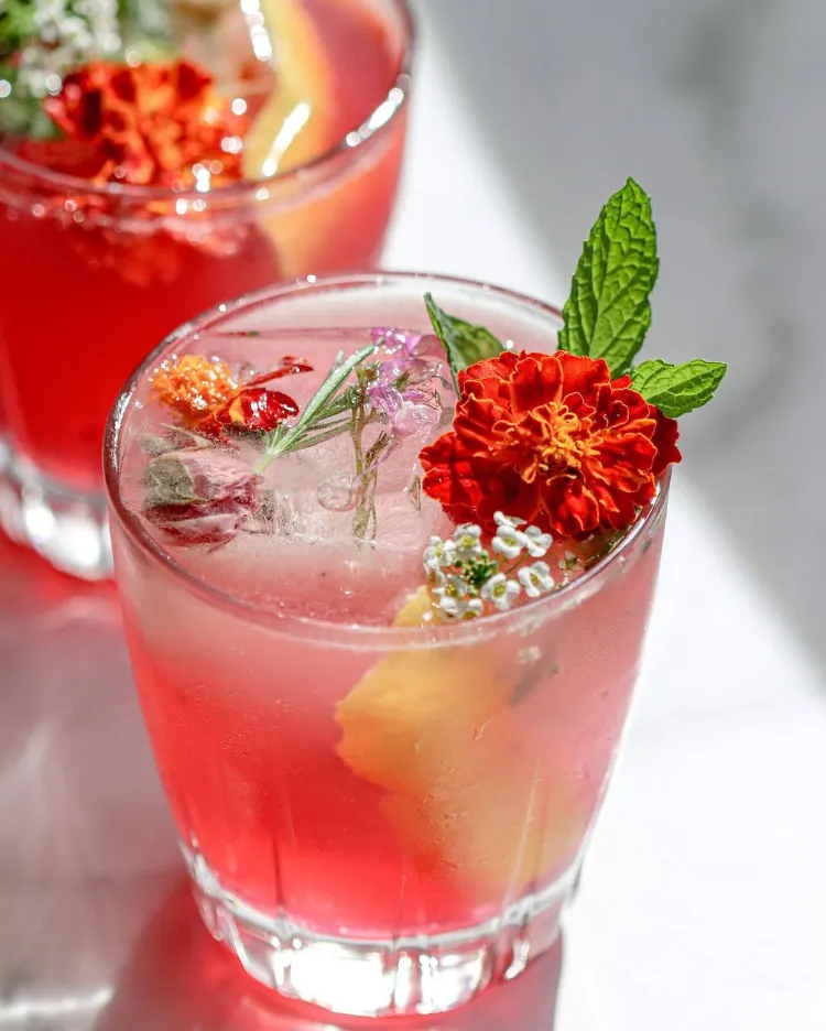 cocktail floral d'agrumes et d'hibiscus