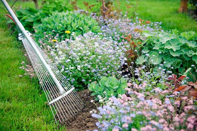 Comment éviter la plantation excessive