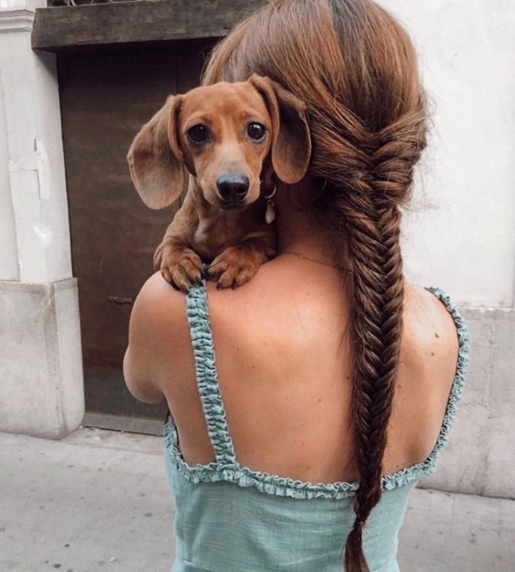 la tresse en épi