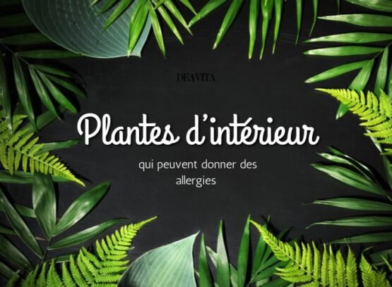 plantes d’intérieur qui peuvent donner des allergies