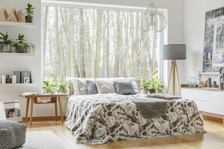 Une chambre chaleureuse et lumineuse décorée de plantes vertes pour une ambiance naturelle