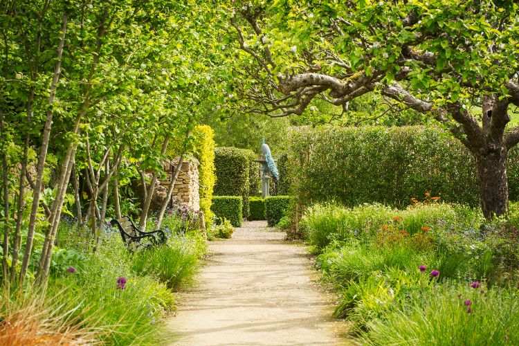 arbres pour un jardin au climat océanique
