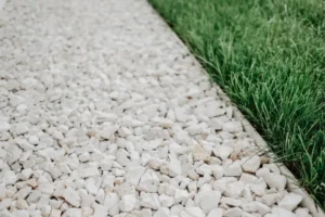 association cailloux et herbe comme bordure