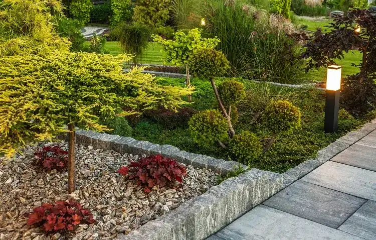 comment bien entretenir un jardin hypoallergénique