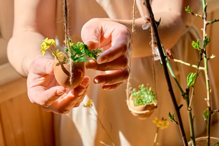 faire des mini vases en coquilles d'oeufs vides