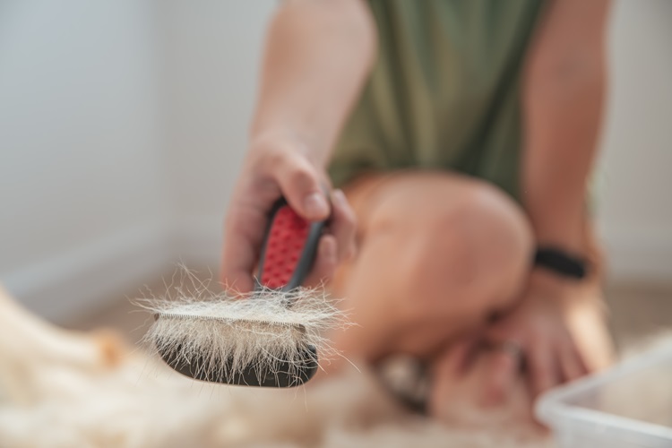 garder le lit des animaux propre au quotidien