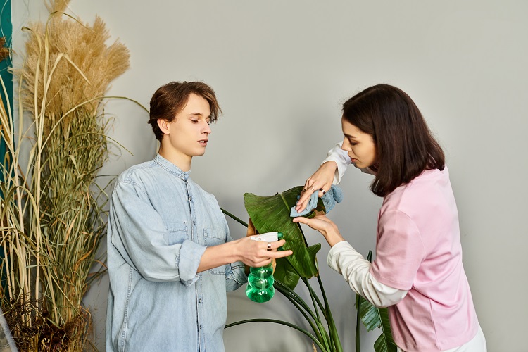 nettoyer les feuilles des plantes d'intéurieur