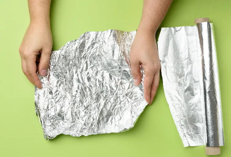 papier aluminium contre les vers blancs