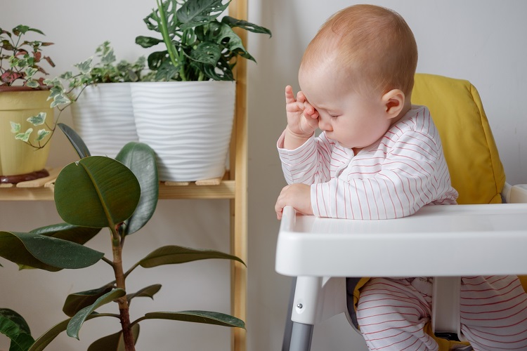 plantes d'intérieur qui libèrent des composés organiques volatils irritants