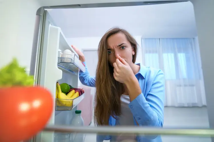 pourquoi mon réfrigérateur sent il mauvais et donne t il mauvais goût à mes aliments