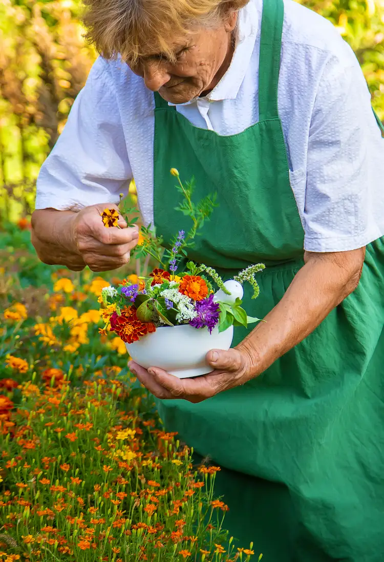 une femme recueille des herbes médicinales et des fleurs