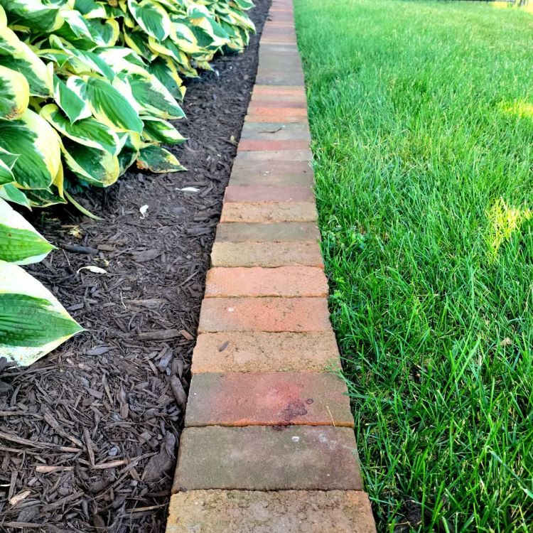 bordure de jardin rustique en briques rouges qui crée un joli contraste avec la pelouse et le paillage
