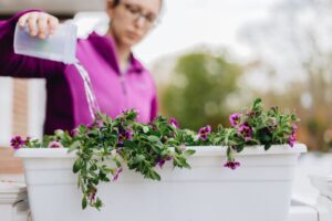 astuces de jardiniers pour garder l'humidité dans les jardinières en été