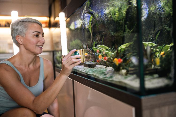 comment garder l'eau de l'aquarium propre