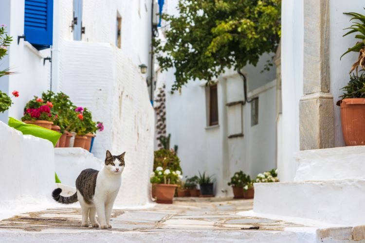 la plus belle île à visiter en grèce