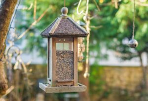 nettoyer des mangeoires à oiseaux naturellement