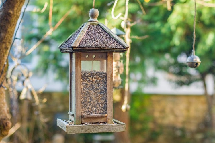 nettoyer des mangeoires à oiseaux naturellement