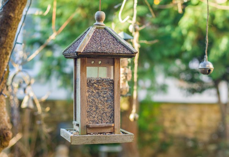 nettoyer des mangeoires à oiseaux naturellement