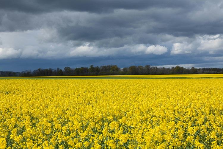prévisions météo france été 2025
