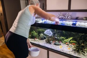 quel entretien régulier de l'aquarium