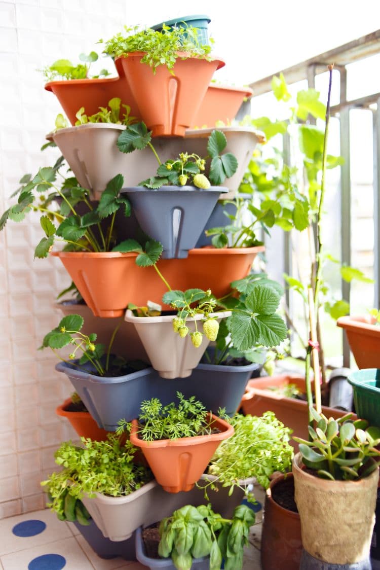 tour de pots en tant que solution pour planter dans un potager vertical sur le balcon