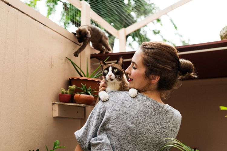 aménagement catio un cocon sécurisé en pleine nature pour votre chat