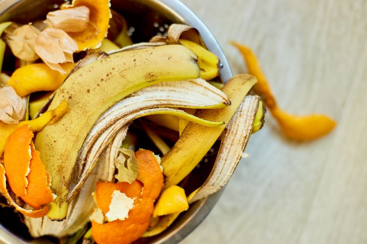 peau de banane comme engrais naturel