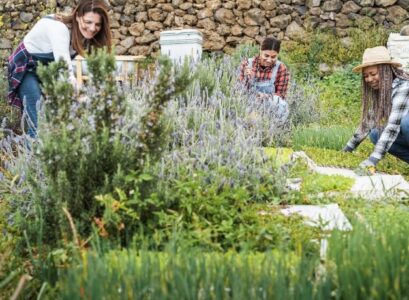 quelles sont les plantes qui repoussent les pucerons