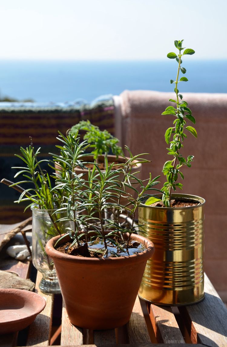 réutiliser les boîtes à conserve au jardin pour en faire des pots à herbes aromatiques