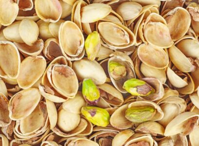 utilisation des coquilles de pistache dans le jardin 2025