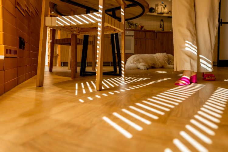 comment protéger le parquet du soleil