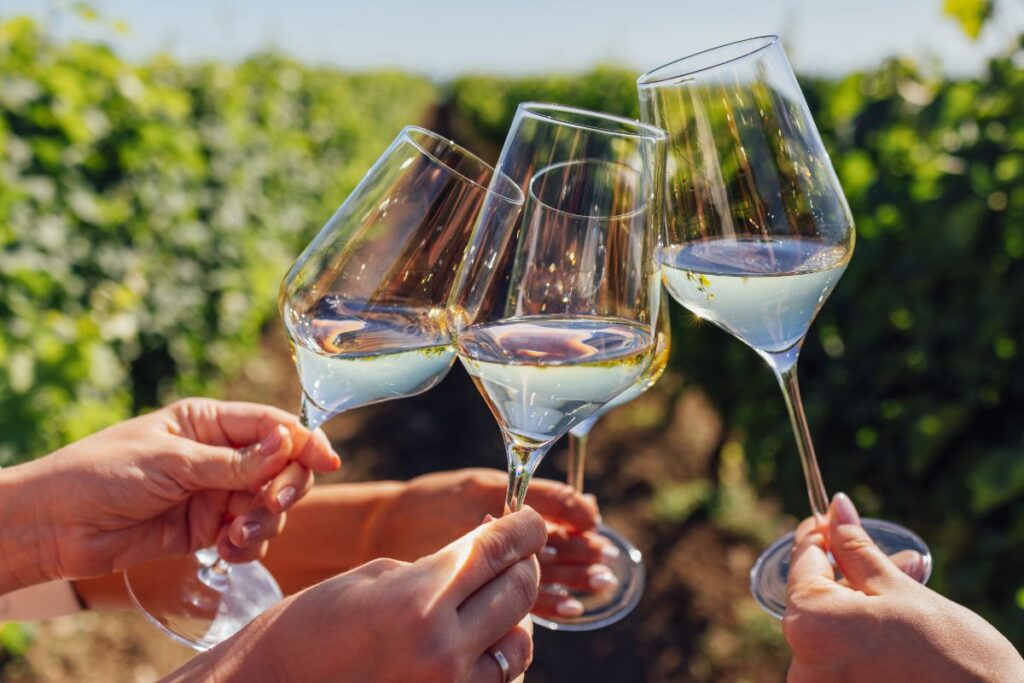 idées et conseils pour un apéritif estival parfait