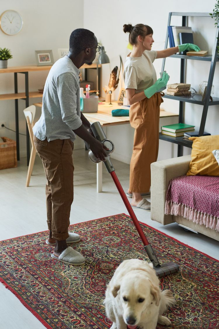 nettoyer un tapis contre les poils des chiens et des chats