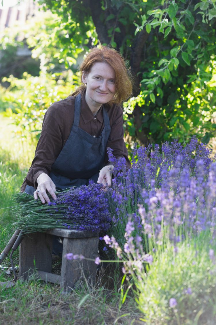 planter de la lavande en juillet