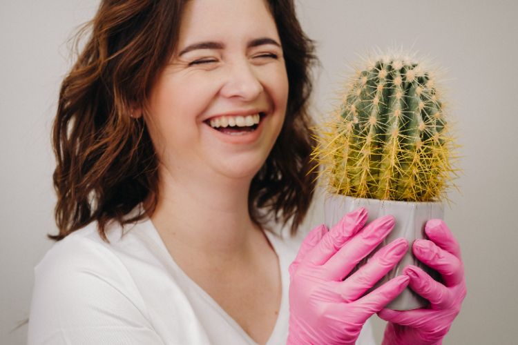 quels remèdes pour sauver un cactus mou jaunissant