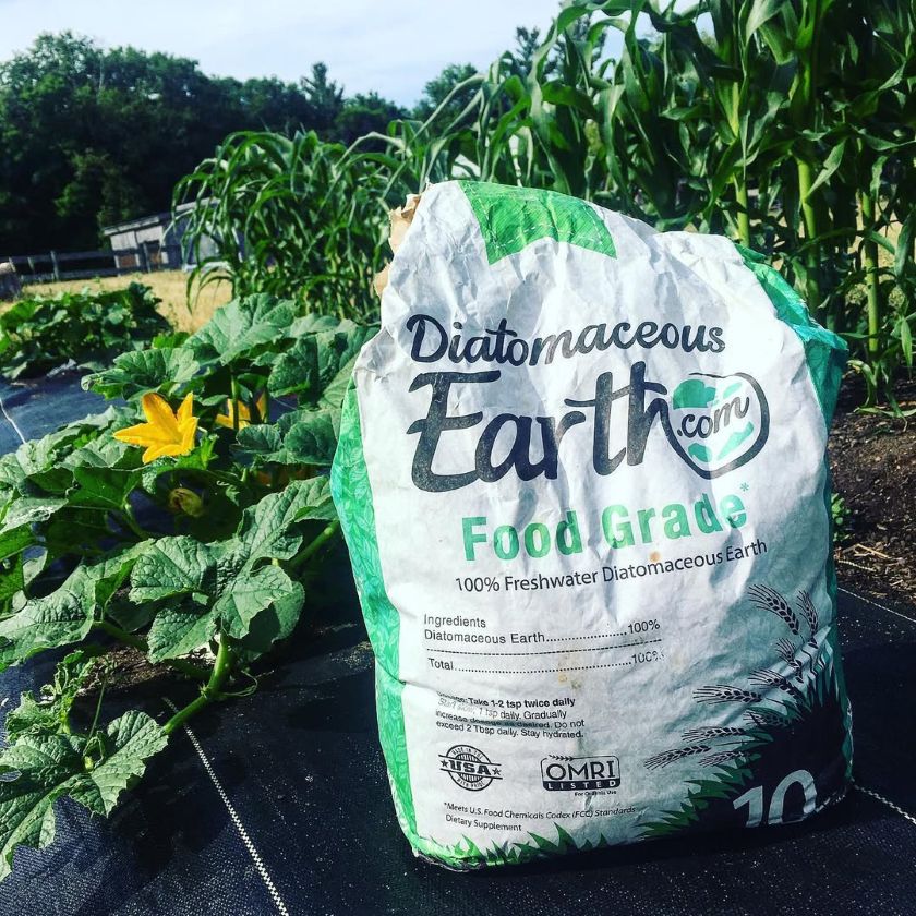 terre de diatomée au jardin, dangers et précautions