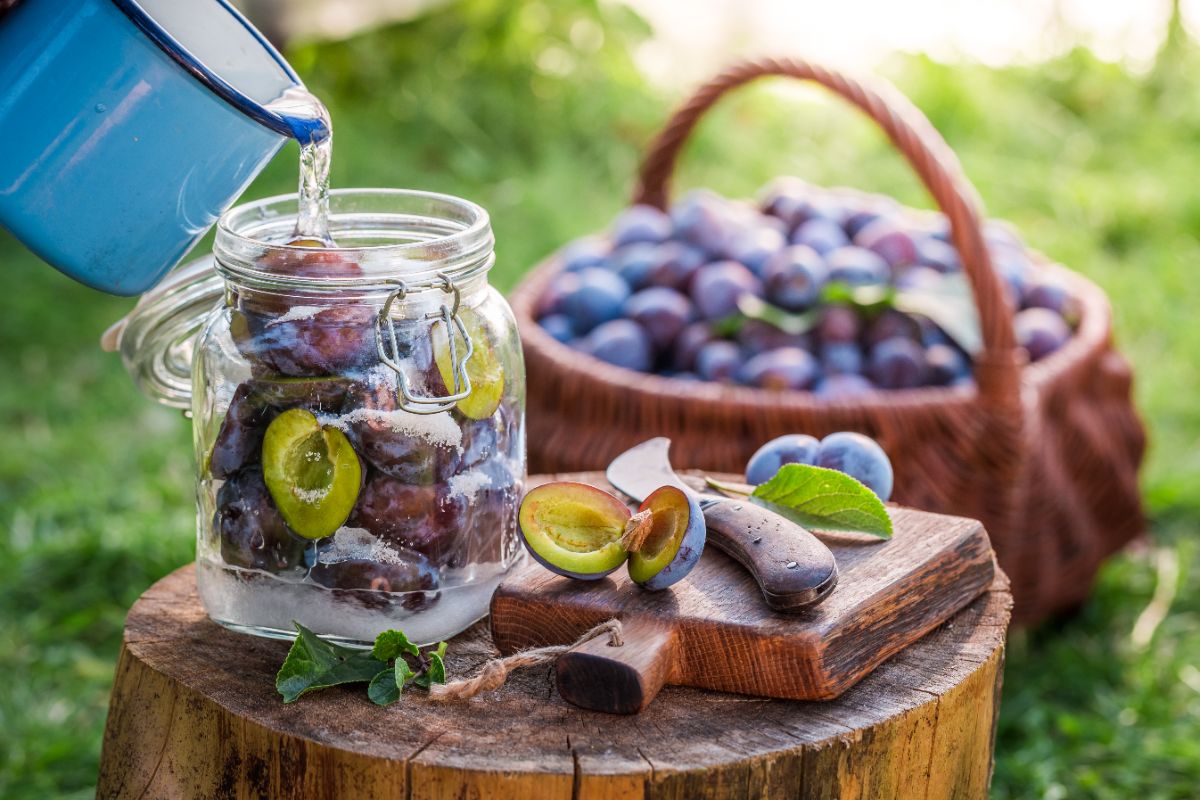 Astuces simples pour réussir la fermentation d'une boisson aux fruits fermentée