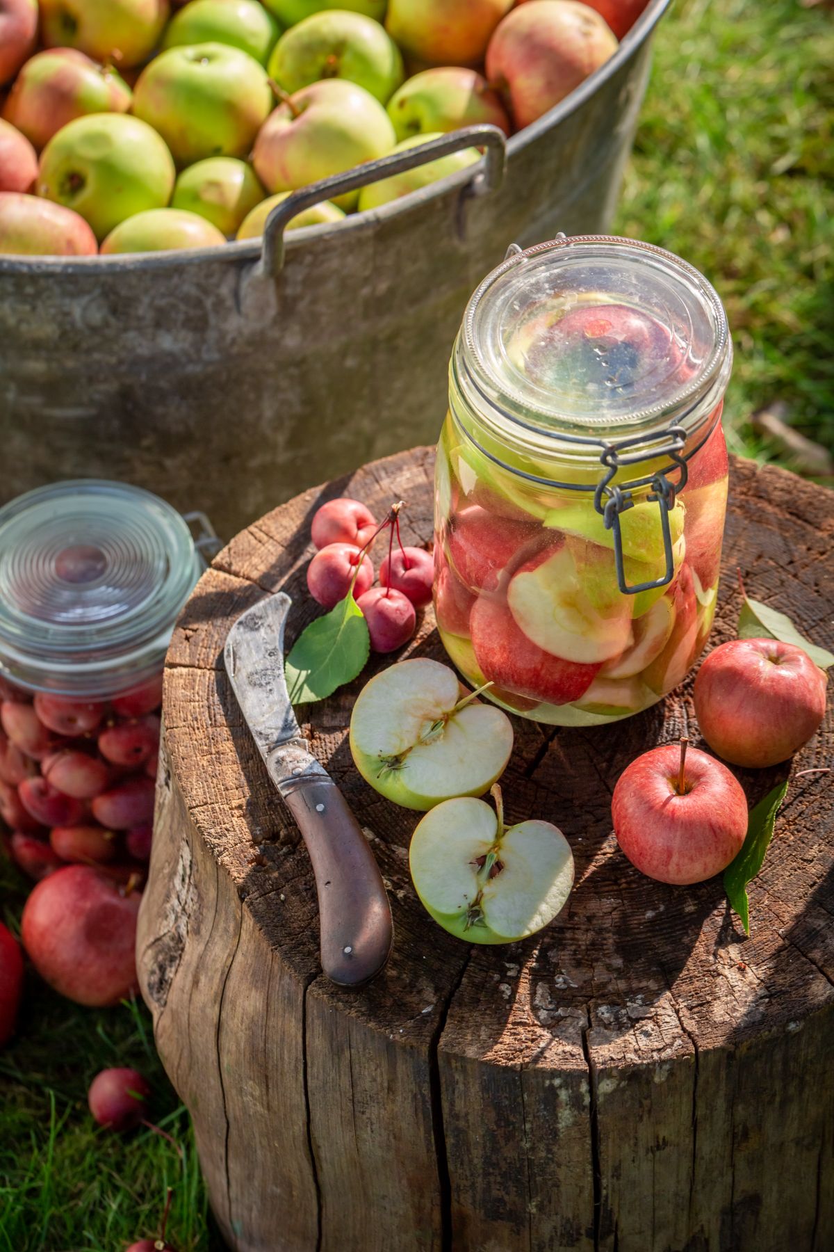 Pourquoi la boisson fermentée maison séduit de plus en plus