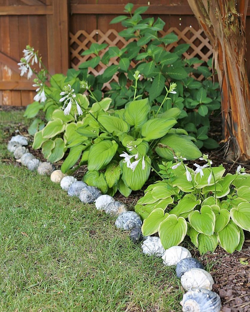 bordure de jardin naturelle en coquillage, déco extérieure écolo