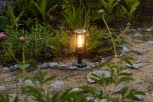 comment améliorer la longévité des lampes solaires au jardin