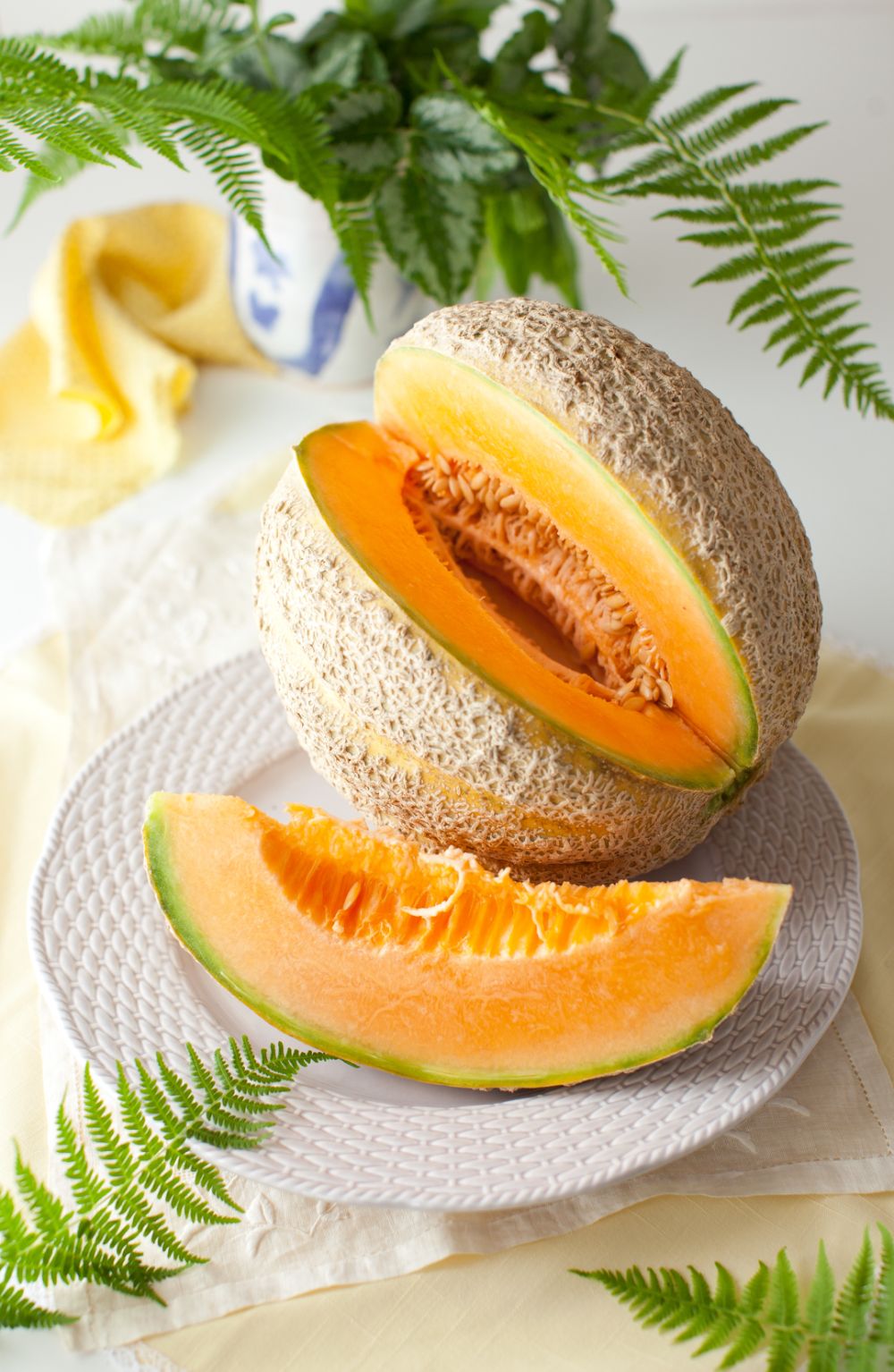 comment bien choisir un melon mûr pour préparer de la confiture