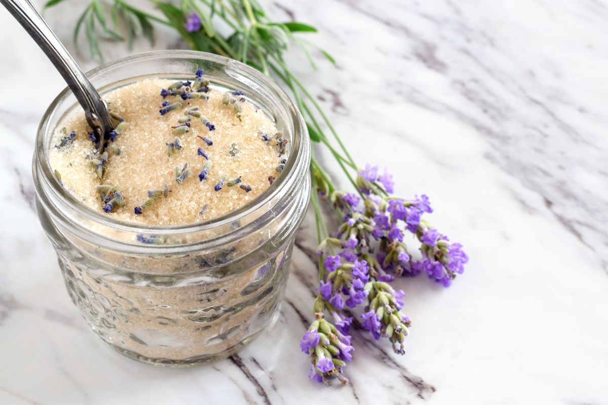comment faire du sucre à la lavande avec fleurs séchées, recette facile