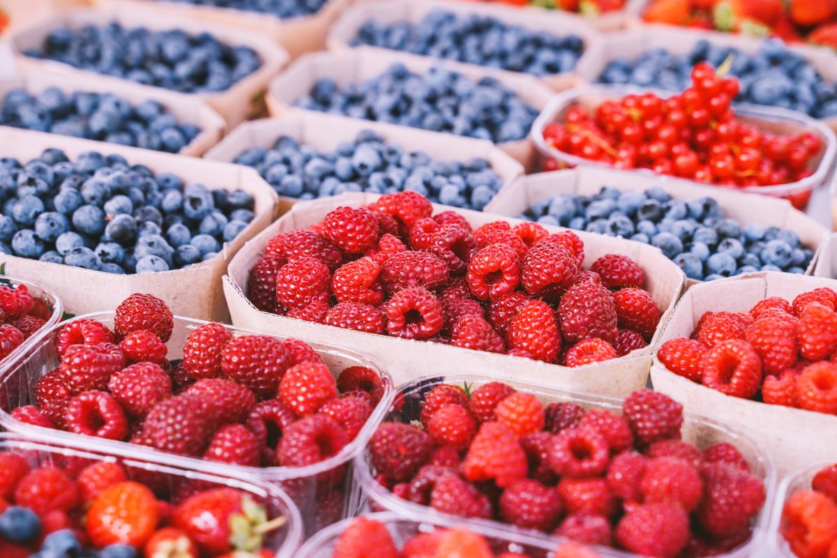comment prolonger la durée de vie des baies au frigo-les secrets des pros révélés