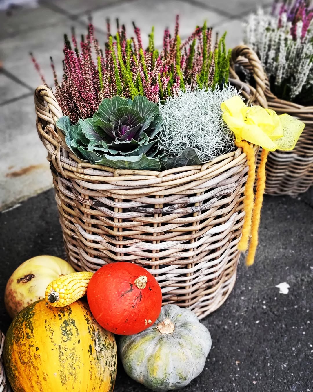 créer une composition de plantes d'automne originale en jardinière en osier tressé