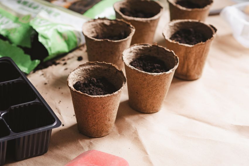 des pots en papier journal pour un jardin écolo