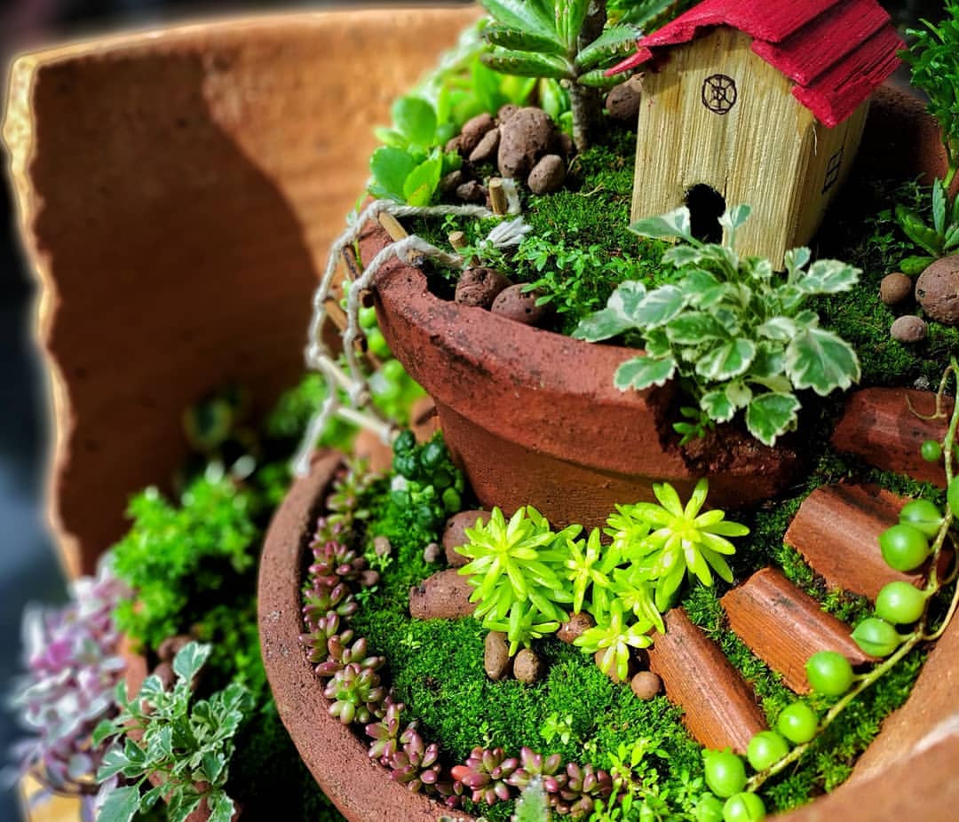 faire un jardin de fée insolite et charmant dans une vieille jardinière en céramique