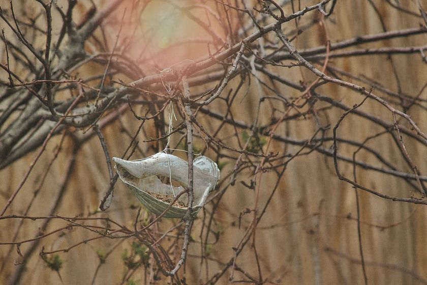 idée DIY de mangeoire pour oiseaux écolo