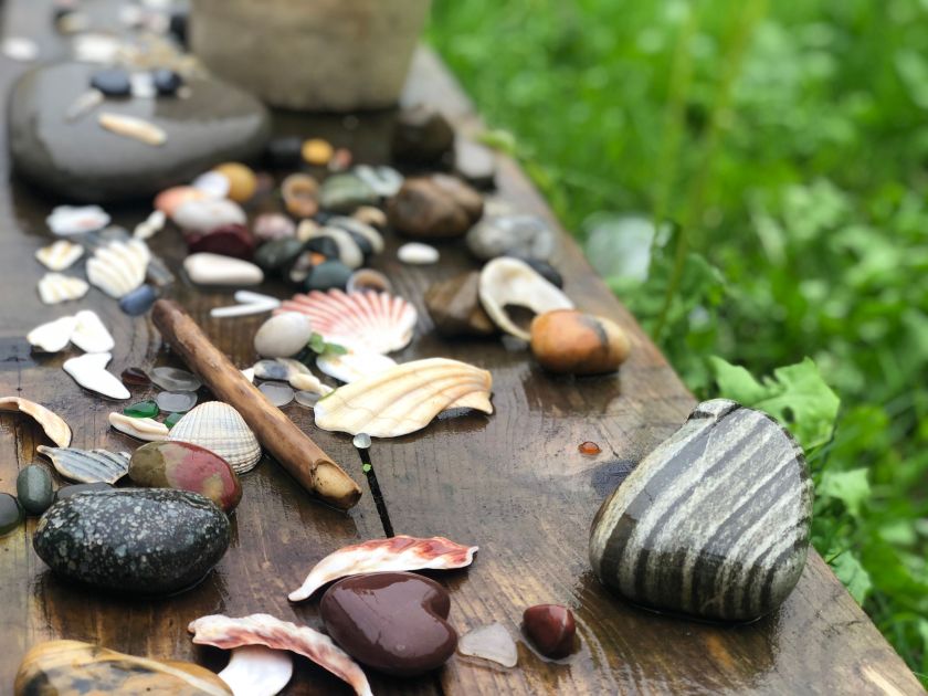 idées pour utiliser les coquillages au jardin
