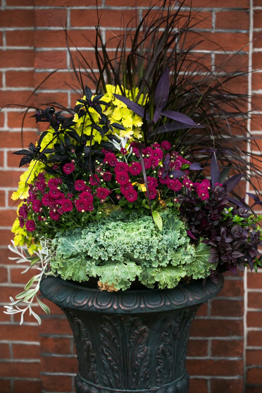 méthode de Joanna Gaines pour planter une jardinière équilibrée cet automne