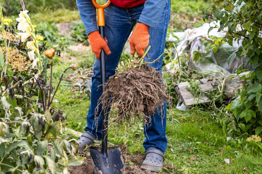 nettoyage de fin de saison au jardin